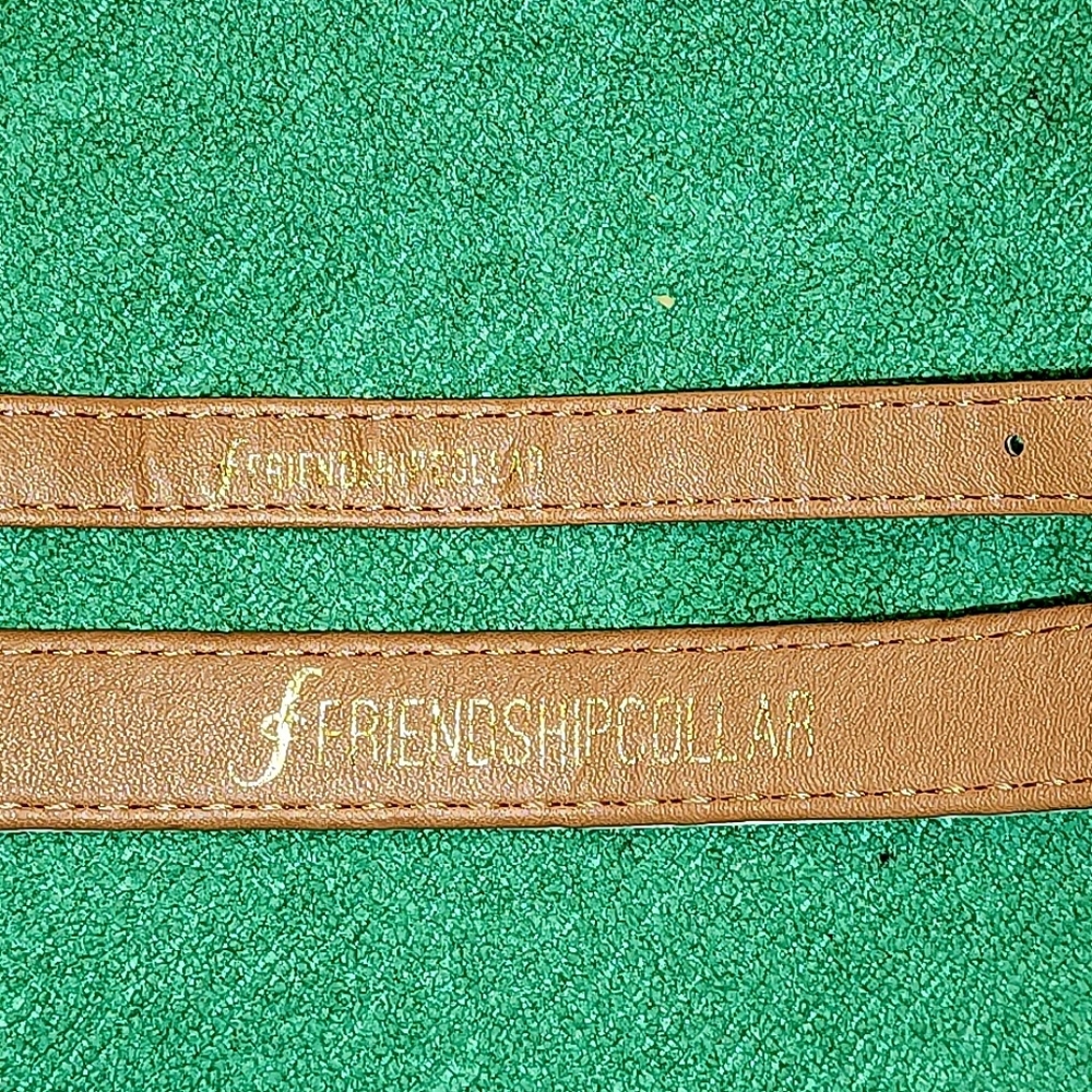 A SPECIAL FRIENDSHIP DOG COLLAR (11 to 14 inch) & Friendship Bracelet - Picture 8 of 12
